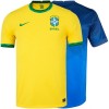 Camiseta Camisa Futebol Nike Brasil Brazil I e II 2020 2021 Torcedor Home Away Casa Visitante
